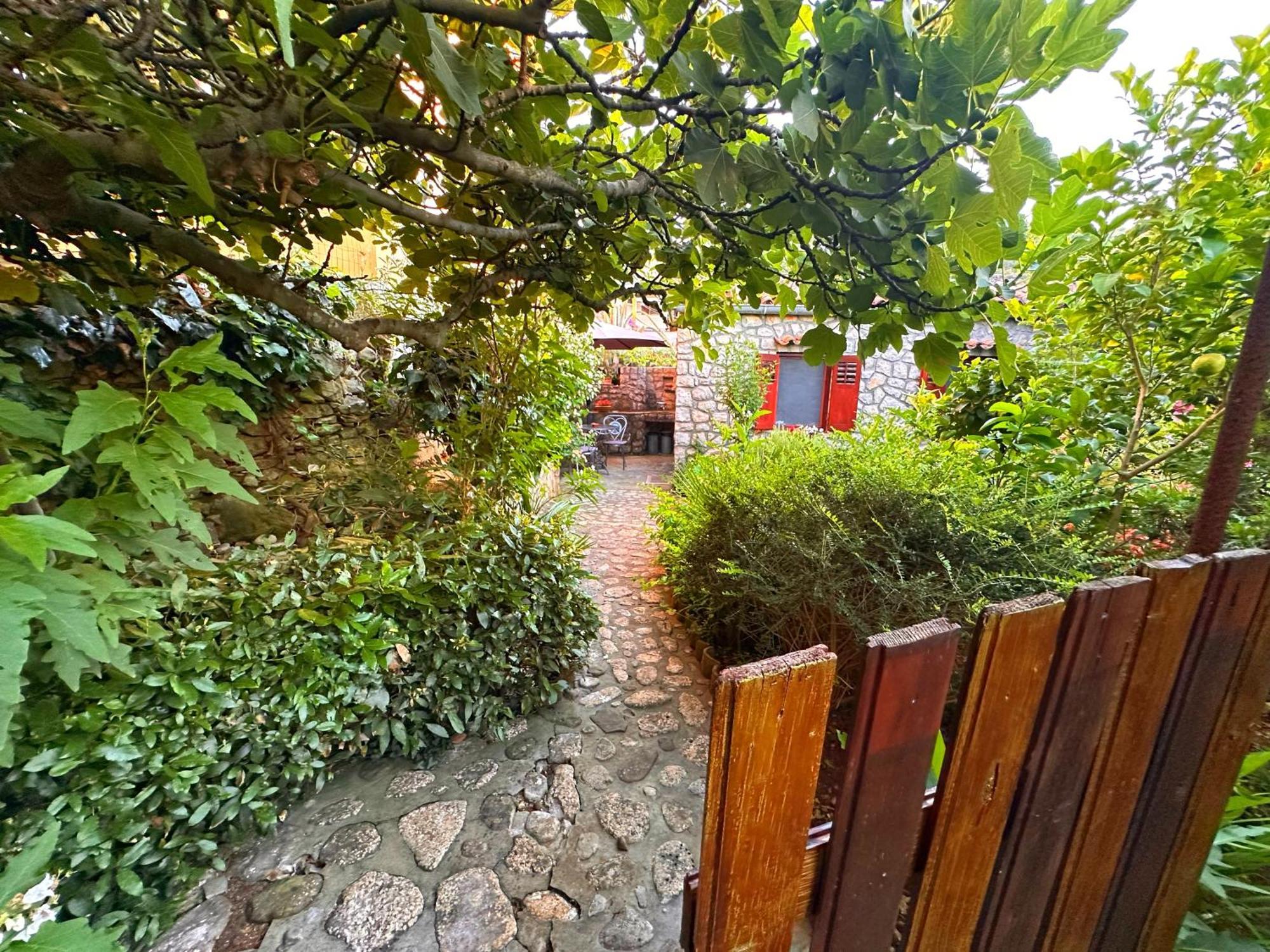 Apartments Cvita Veli Lošinj Zewnętrze zdjęcie