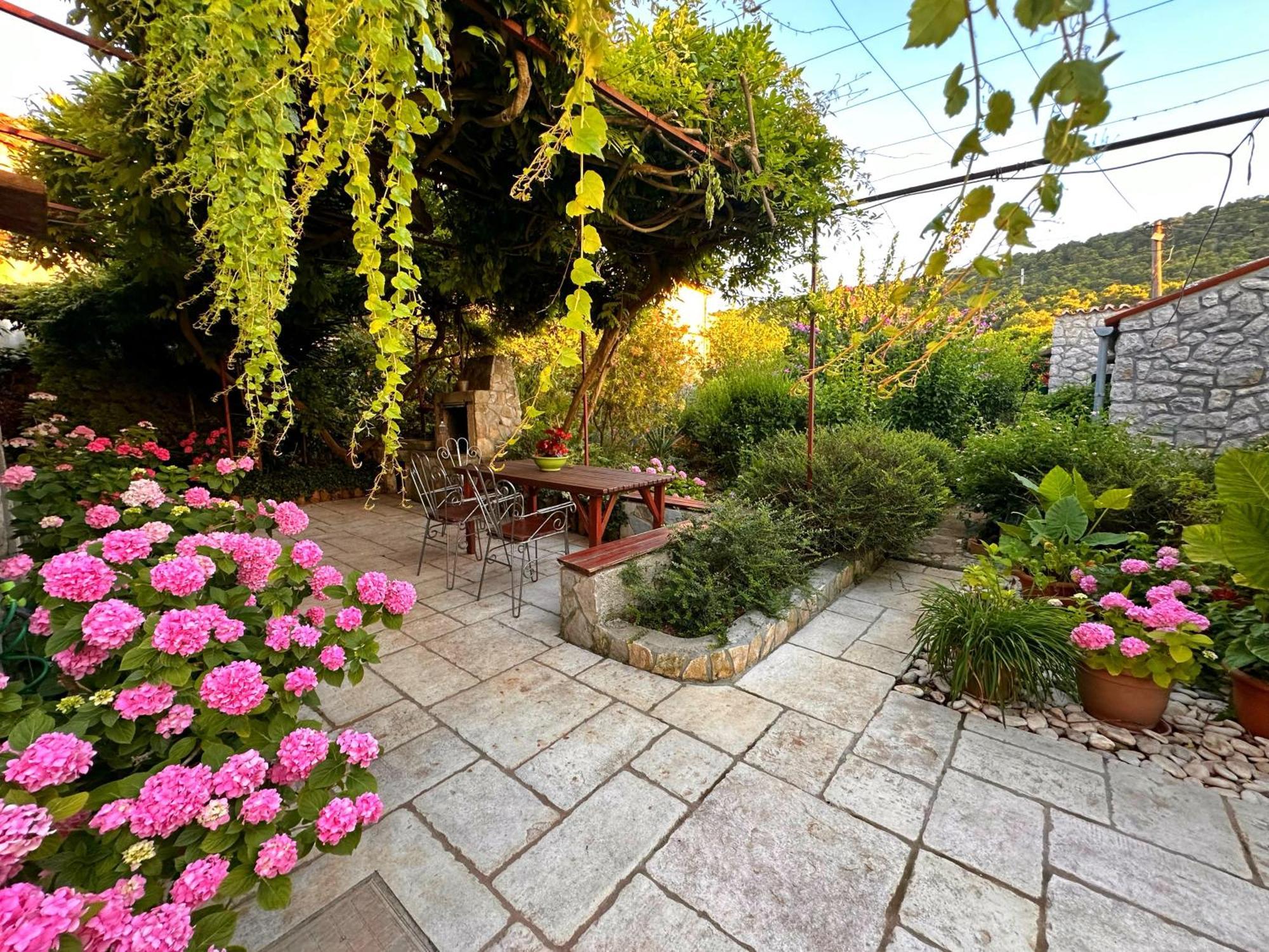 Apartments Cvita Veli Lošinj Zewnętrze zdjęcie