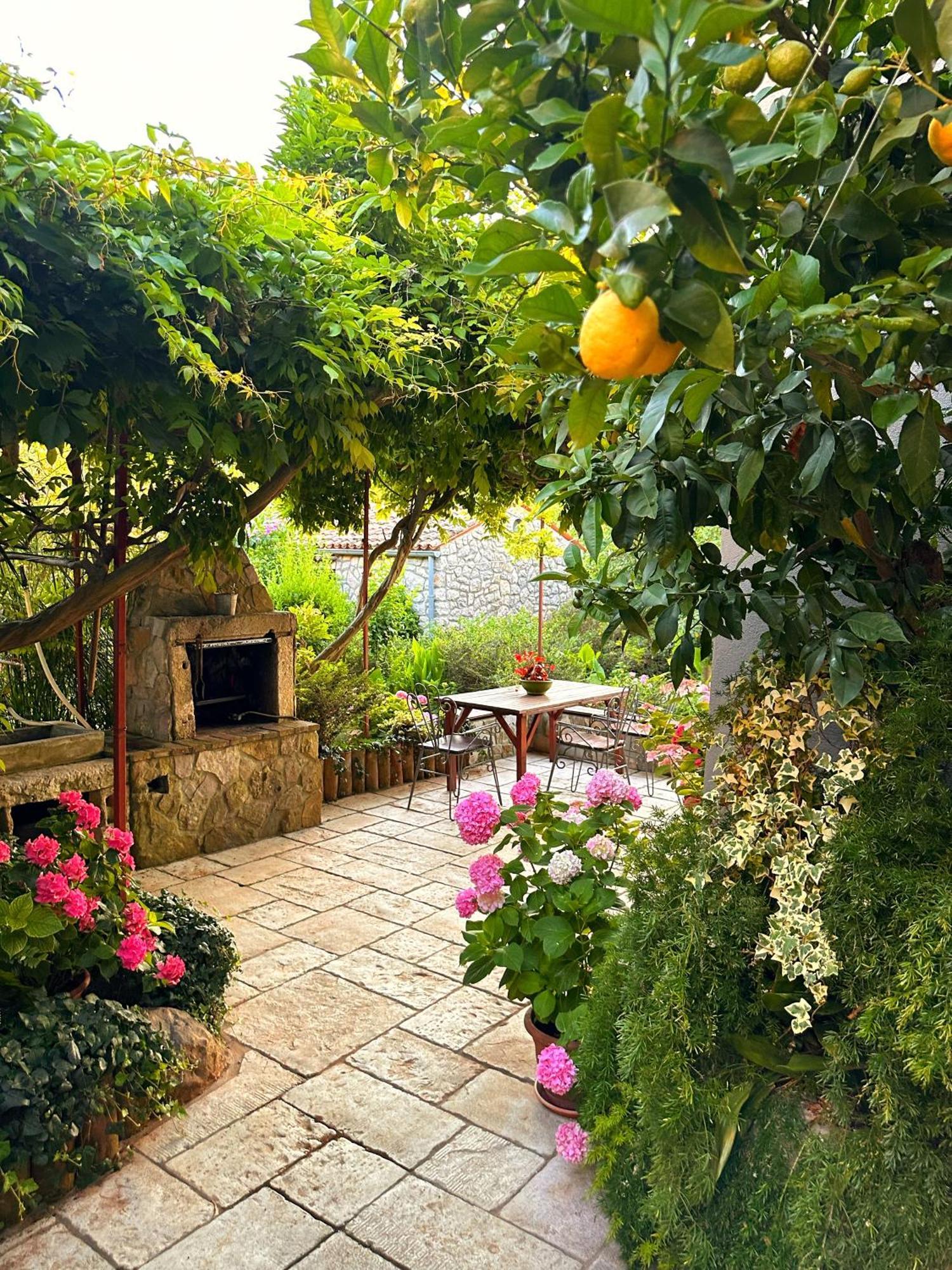 Apartments Cvita Veli Lošinj Zewnętrze zdjęcie