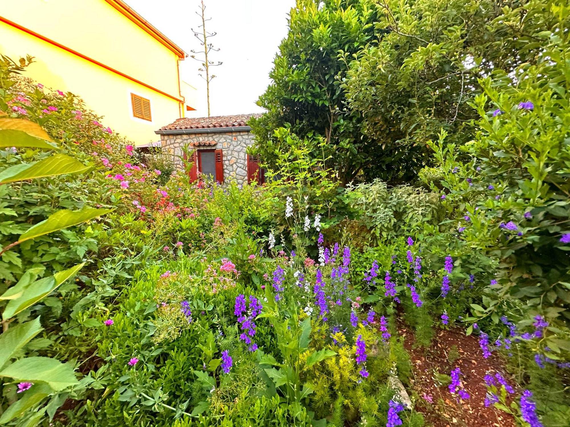 Apartments Cvita Veli Lošinj Zewnętrze zdjęcie