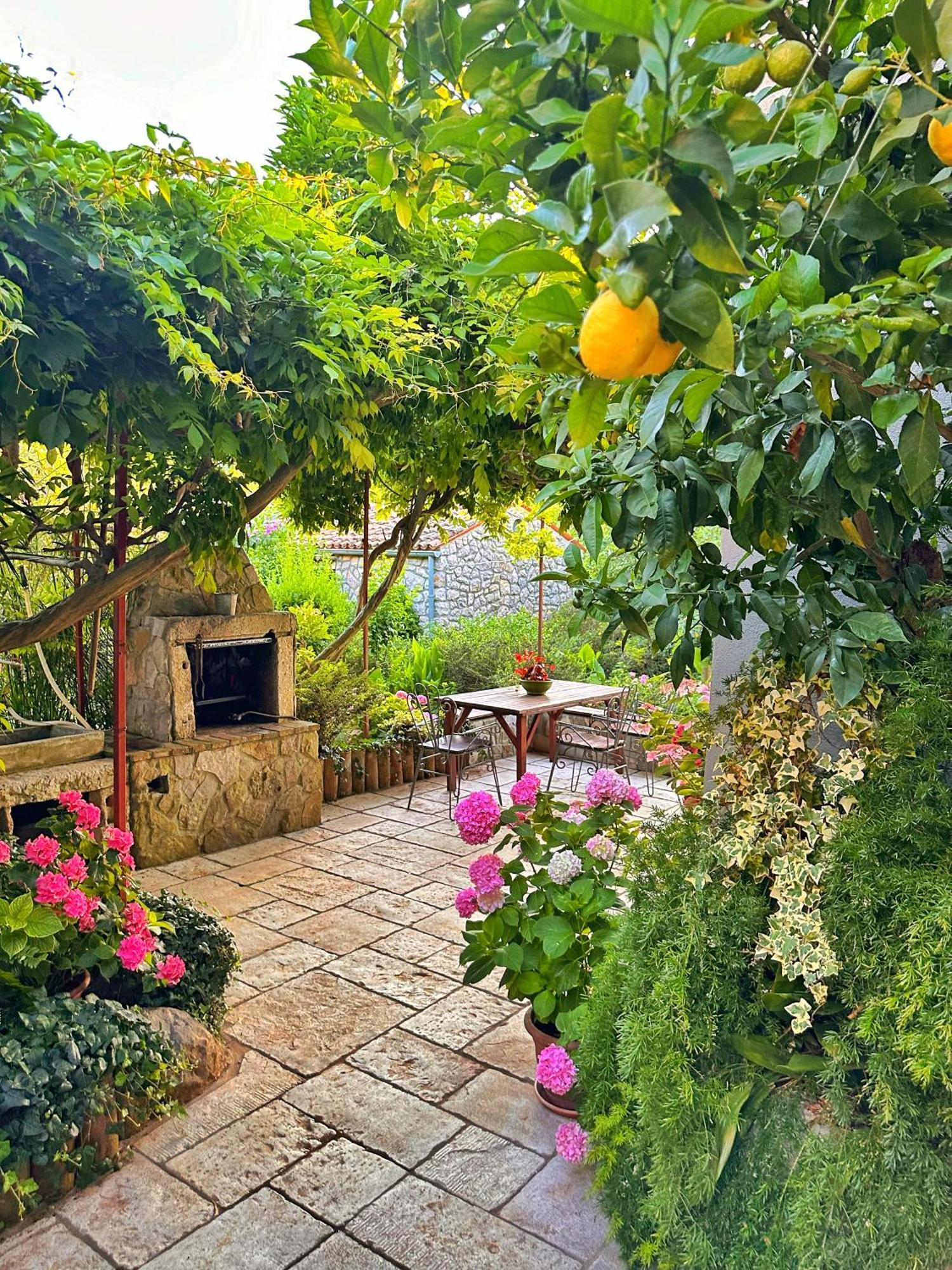 Apartments Cvita Veli Lošinj Zewnętrze zdjęcie
