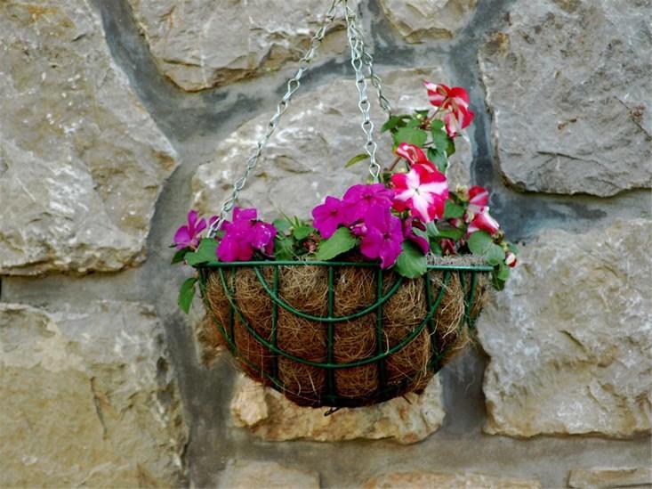 Apartments Cvita Veli Lošinj Zewnętrze zdjęcie