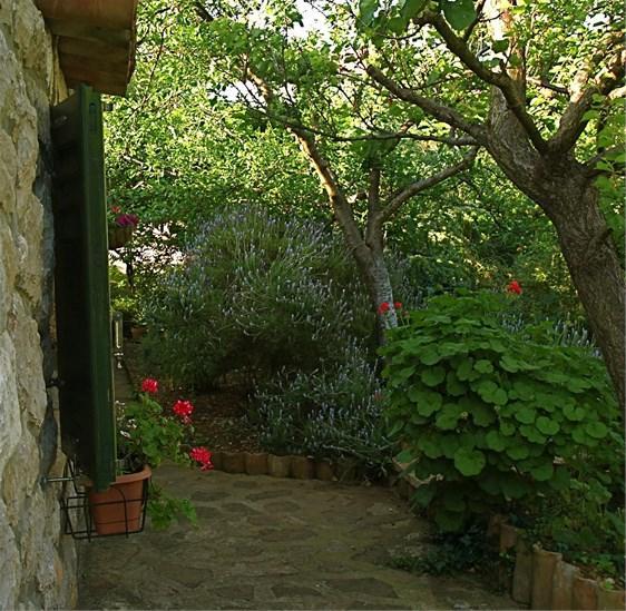 Apartments Cvita Veli Lošinj Zewnętrze zdjęcie